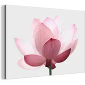 MuchoWow Wanddecoratie Metaal - Aluminium Schilderij Industrieel - Bloemen - Roze - Natuur - Botanisch - 90x60 cm - Dibond - Foto op aluminium - Industriële muurdecoratie - Voor de woonkamer/slaapkamer