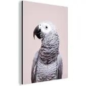 MuchoWow Wanddecoratie Metaal - Aluminium Schilderij Industrieel - Papegaai - Grijs - Dieren - Natuur - 60x80 cm - Dibond - Foto op aluminium - Industriële muurdecoratie - Voor de woonkamer/slaapkamer