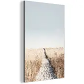 MuchoWow Wanddecoratie Metaal - Aluminium Schilderij Industrieel - Pad - Zand - Planten - Natuur - 120x180 cm - Dibond - Foto op aluminium - Industriële muurdecoratie - Voor de woonkamer/slaapkamer