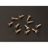 Boston TS-01-N/REL Vintage Oval Countersunk Schroeven voor Pickguard - 12 Stuks