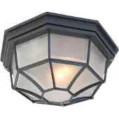 QAZQA Landelijke plafondlamp donkergrijs IP44 - Bri L