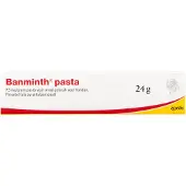Banminth Pasta hond