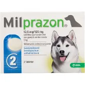 Krka Hond