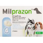 Milprazon Hond