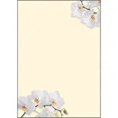 Sigel Design-Papier