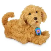 Famosa Moji The Labradoodle Educational Toy Veelkleurig