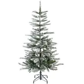 Evergreen Cedar, Kiefer, Frost, 150 cm (hoogte), 150 cm (breedte)