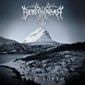 Borknagar CD - True north - voor Geen - standaard - Maat Standard