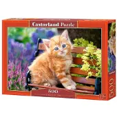 Castorland Ginger Kitten Puzzel (500 stukjes)