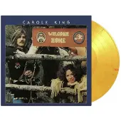 MUSIC ON VINYL WELCOME HOME