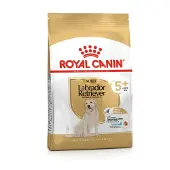 Royal Canin Labrador Retriever Adult 5+