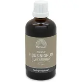 Mattisson Biologisch Ribes Nigrum complex tinctuur 100 ml