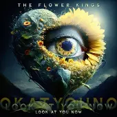 Sony music The Flower Kings - Look At You Now (CD)