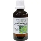 Natura Sanat Cochlearia armoracia / mierikswortel tinctuur bio (50ml)