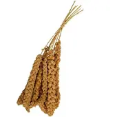 Wielink Trosgierst CHINEES 300gr