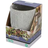 Buzzy House Plants Hangende Plantpot met Coleus zaden