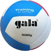 Gala 500g Trainingsbal