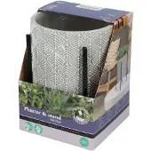 Buzzy House Plants Plantenpot In Standaard Met Aloe Vera Zaden