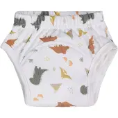 Blush & Blossom Dinosaurus 24-36M Badstof Oefenbroekje TR-BB443452