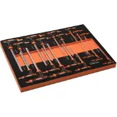 Centurius Inbussleutelset - Torx Sleutelset Met T-greep – 18-delig – In Softmodule |