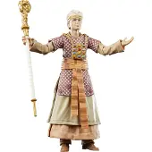 Hasbro Indiana Jones - René Belloq (Ceremonial) (Raiders of the Lost Ark) 15 cm Adventure Series Action figure - Multicolours