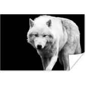 PosterMonkey Poster Wolf - Dier - Zwart - Wit - 120x80 cm