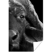 PosterMonkey Poster Buffalo - Dieren - Zwart - Wit - 20x30 cm
