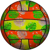 Vittali Pacific volleybal