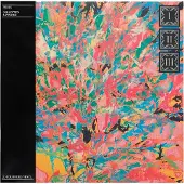 Bertus Distributie Collected Reworks (3LP)
