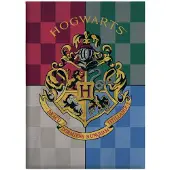 VideogamesNL Harry Potter fleecedeken Hogwarts junior 110 x 140 cm
