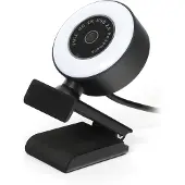 Platinet PCWC2KAF Webcam met microfoon - Voor PC, laptop - ingebouwd LED licht - Zwart/Wit
