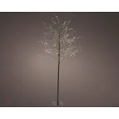 Lumineo Metalen kerstboom met LED lampjes | geschikt voor buiten | zwart | warm wit | 180cm