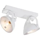 QAZQA Industriële plafondlamp wit met zilver 2-lichts verstelbaar - Magnax