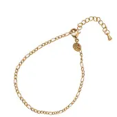 Go Dutch Label Armband (Sieraad) small link Goud