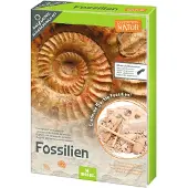 Moses uithakset Expedition Natur fossielen junior 12-delig