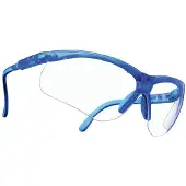 MSA The Safety Company MSA Perspecta 10045642 veiligheidsbril