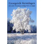 Benza Dubbele Religieuze Kerstkaarten 13 - 6 stuks