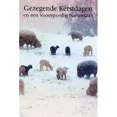 Benza Dubbele Religieuze Kerstkaarten 5 - 6 stuks