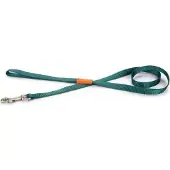 Beeztees Uni - Hondenriem - Donkergroen - Nylon - 120 CM X 15 MM