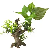 Ebi Aqua Della Flora Scape 6 S (Decoratie, Andere objecten)