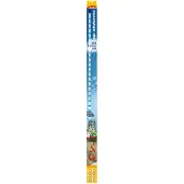 Sera Cool daylight 1120