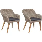 vidaXL Tuinstoelen 2 st met kussens poly rattan bruin