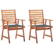 vidaXL Tuinstoelen 2 st met kussens massief acaciahout