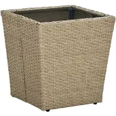 vidaXL Salontafel 41,5x41,5x44 cm poly rattan en gehard glas beige