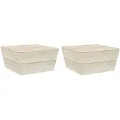 vidaXL Tuintafels 2 st 60x60x30 cm geïmpregneerd vurenhout