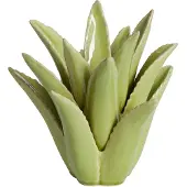 Light & Living Theelicht Ø24,5x23 cm CACTUS keramiek licht groen (Groen, 24.5x23x24.5cm)