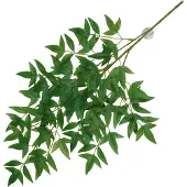 Terra Della Hangende Plant Nandina