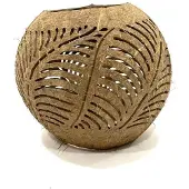 Varios Coconut leaf