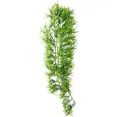 Hobby Terrano climber Tropica