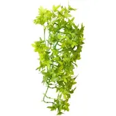 Hobby Terrano Climber Ivy Afmeting - 37 cm